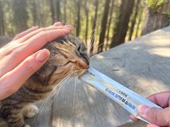 -四门塔风景区