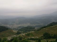 -紫鹊界梯田景区