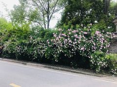 -尚贤河湿地