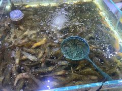 -聚盛源蒸汽海鲜火锅烤肉自助(巨川金海岸购物广场店)
