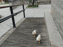 -盐池神庙