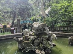-莫干山风景区
