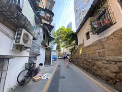 -猫咪博物馆(顶澳仔猫街店)