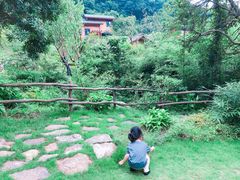 -杭州开元森泊度假乐园