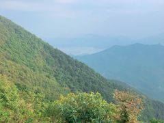 -梧桐山风景名胜区