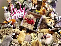 -河南威佳金凯汽车销售服务有限公司