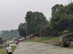 -秀丽东方