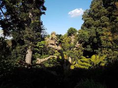 -墨尔本皇家植物园