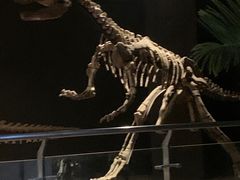 -世界恐龙谷景区