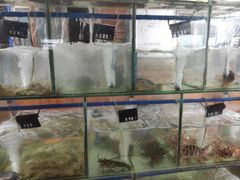 -蓝湾碧波·老字号·疍家非遗海上餐厅