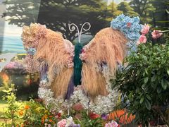 -上海鲜花港