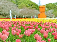 -苏州上方山国家森林公园