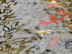 -水磨沟公园