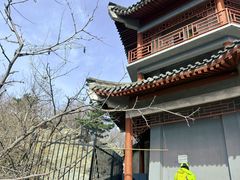 -北京鹫峰国家森林公园