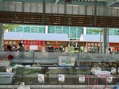 -清水湾3号(东方小周海鲜店)