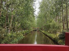 -合肥滨湖国家森林公园