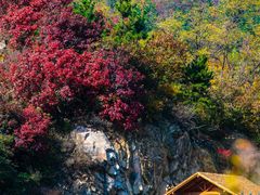 -九如山休闲旅游度假区