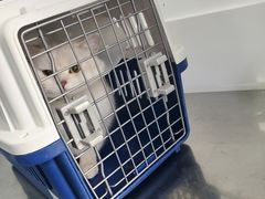 -北京赛佳动物医院