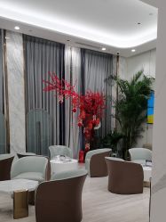 -深圳美莱医疗美容医院