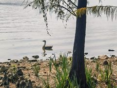 -海珠湖公园