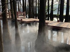 -东湖落雁景区