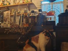 -BUND·FIVE外滩5号(天际店)