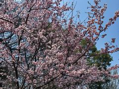 -苏州上方山国家森林公园