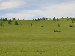 -塞罕坝国家级自然保护区