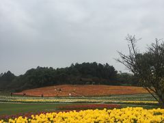 -保利石象湖景区