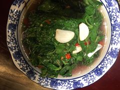 特色灵芝菜-宏发饭店·30年徽菜名店