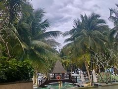 -海南清水湾莱佛士酒店