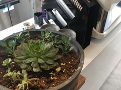 -Maxpoint Kitchen 西餐咖啡(乐峰广场店)