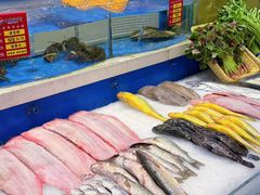 -北塘海鲜·天津菜·鲅鱼水饺是一绝(大光明桥旗舰店)