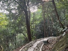 -午潮山国家森林公园