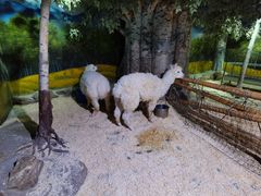 -正佳雨林生态植物园