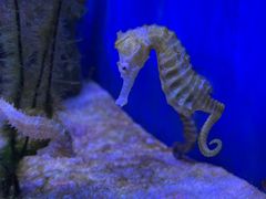 -多彩贵州城极地海洋世界