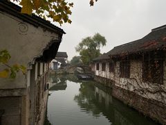 -鲁镇