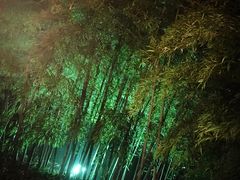 -天目湖涵田半山温泉