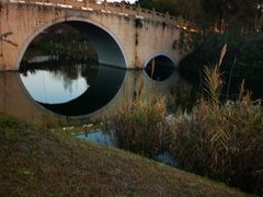 -眉山湿地公园(东坡区)
