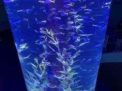 -广州海洋馆