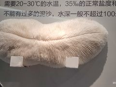 -湖南省地质博物馆