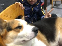 -阿尔法海鲜排档(爱琴海店)