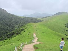 -大姆山草场