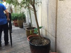 -听香·678茶铺(猛追湾店)