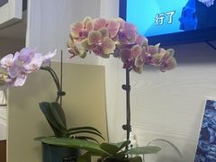 -双季花艺园艺市场(浦东店)