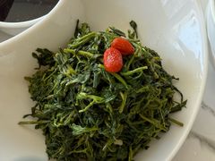养生枸杞苗-老毛手抓·国家非遗·盐池滩羊(宁夏总店)