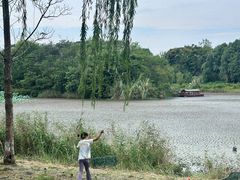 -白鹭湾湿地公园