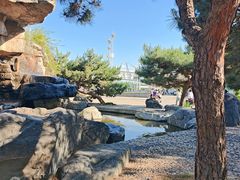 -石家庄市植物园