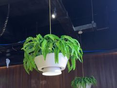 -天山醉美辣子鸡(文艺路店)