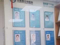 -宠福鑫动物医院(城北分院)